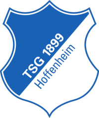 wappen hoffenheim